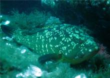 Nos prestations sur le secteur de La Londe-les-Maures près du Lavandou