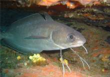 Nos prestations sur le secteur de La Londe-les-Maures près du Lavandou