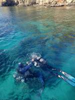 Nos prestations sur le secteur de Bormes-les-Mimosas près de Hyères 83230